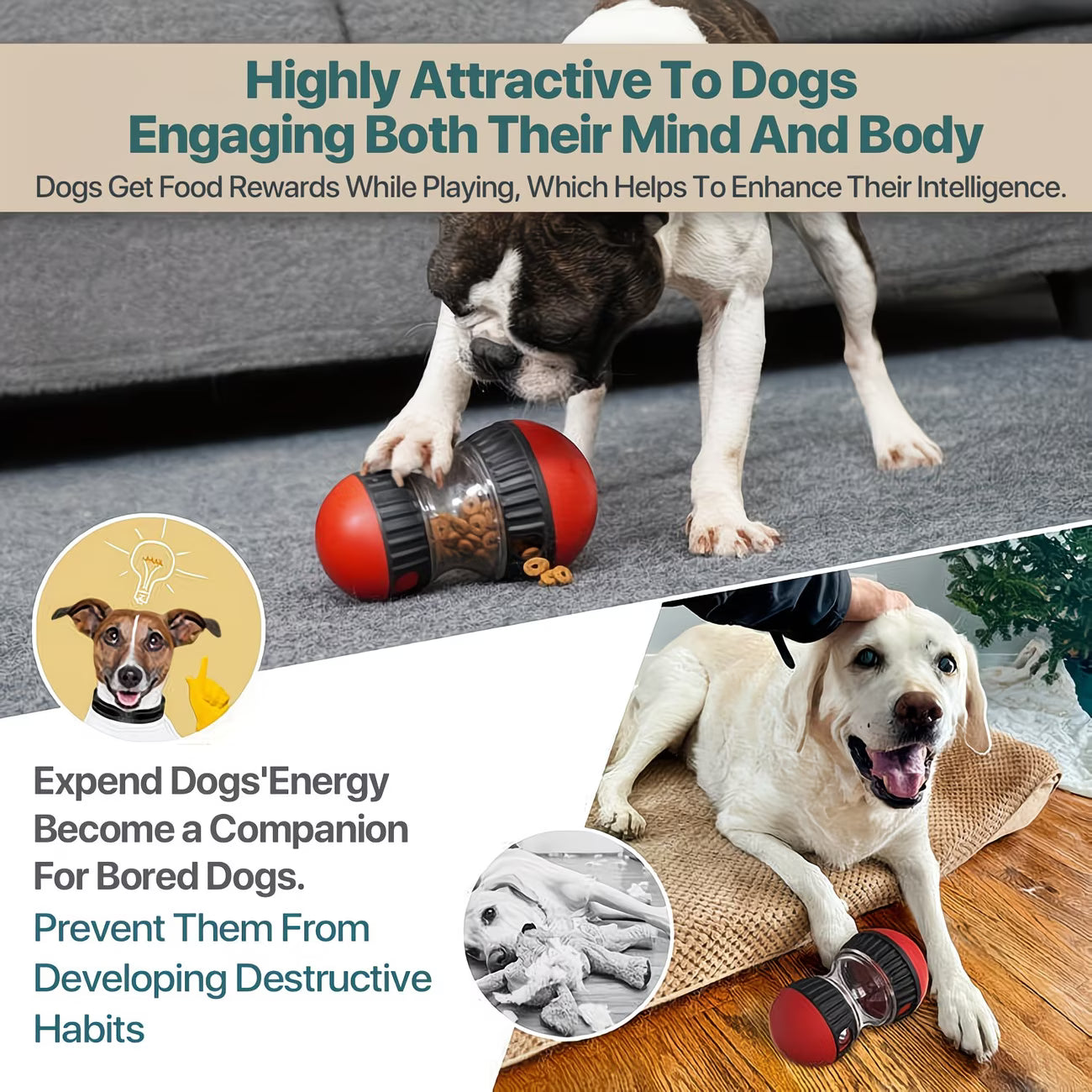 Slow Feeder for dogs