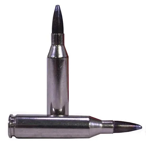 243 Winchester - Premium Vital-Shok, 100 Grains, Nosler Partition Moly, Per 20