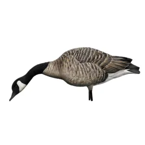 Avian X AXP Honkers Full Body Realistic Paint Canada Goose Decoys Feeder Pack