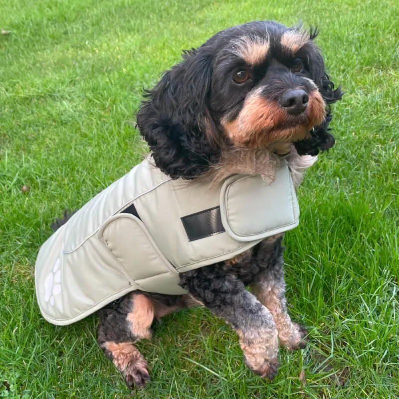 Happy Pet | Dog Coat | Sage Green Paw Print Jacket