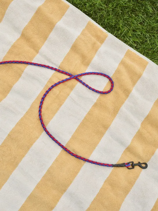 HAY   Braided dog leash 