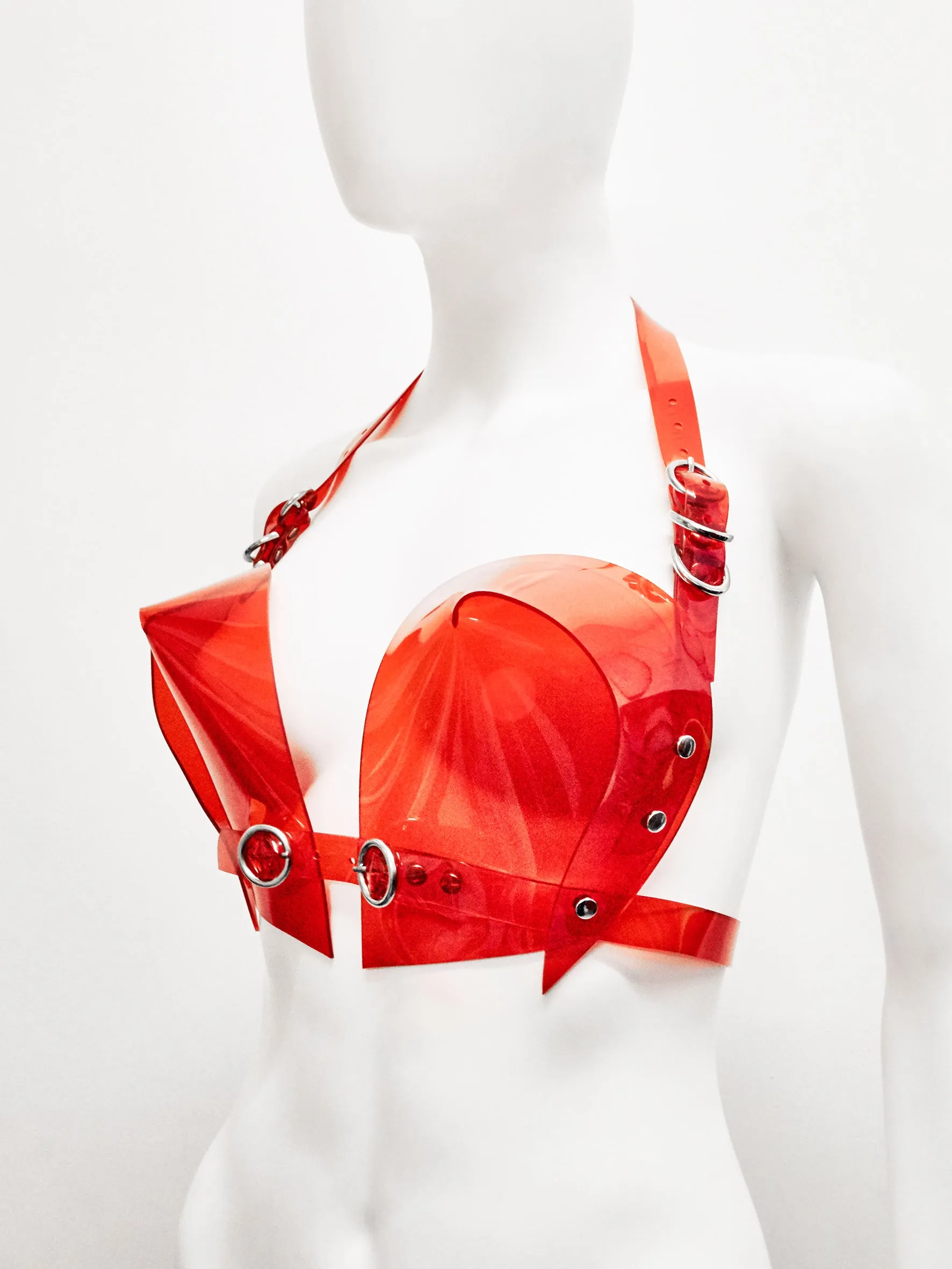 Heart Bra by Jivomir Domoustchiev