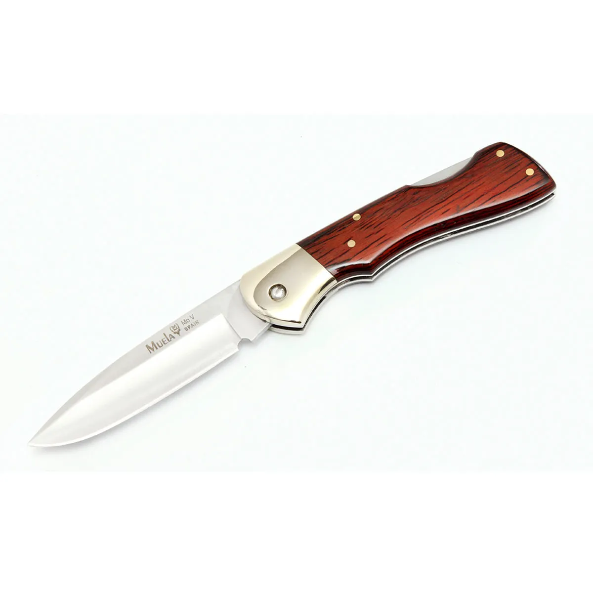 Muela BX-8R Lockback Knife with Coral Handle